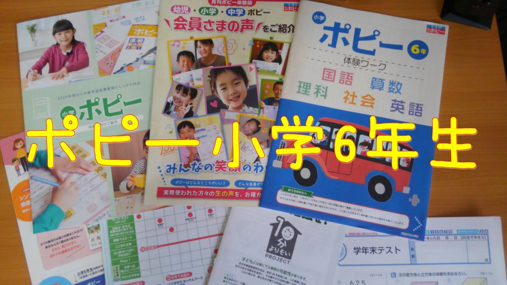 ポピー　小学六年生