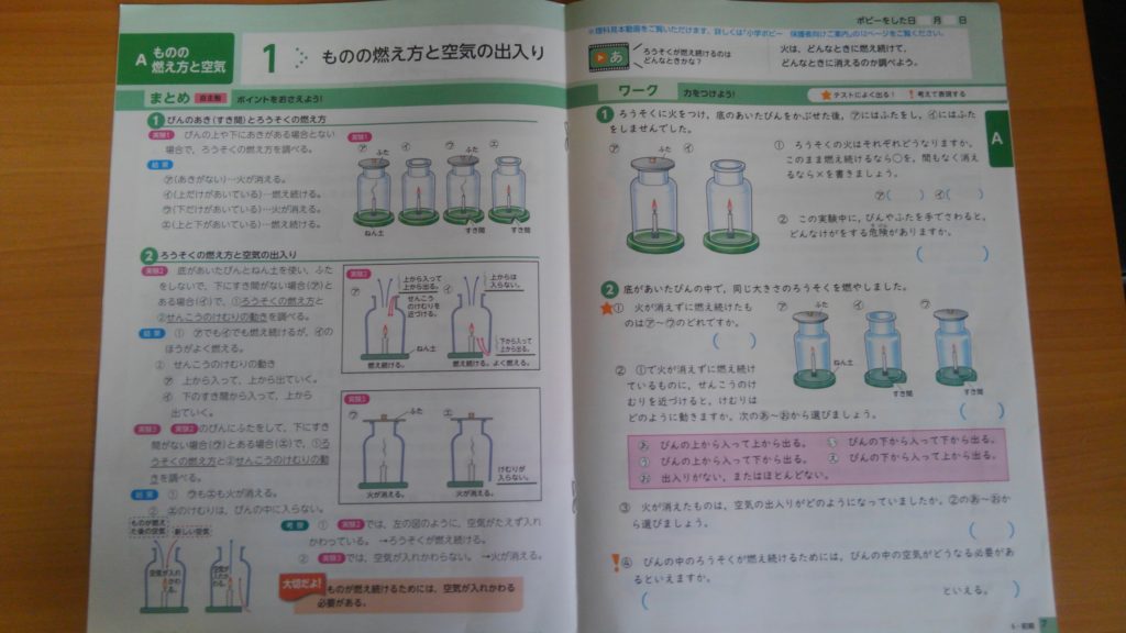 ポピー　小学六年生　お試し