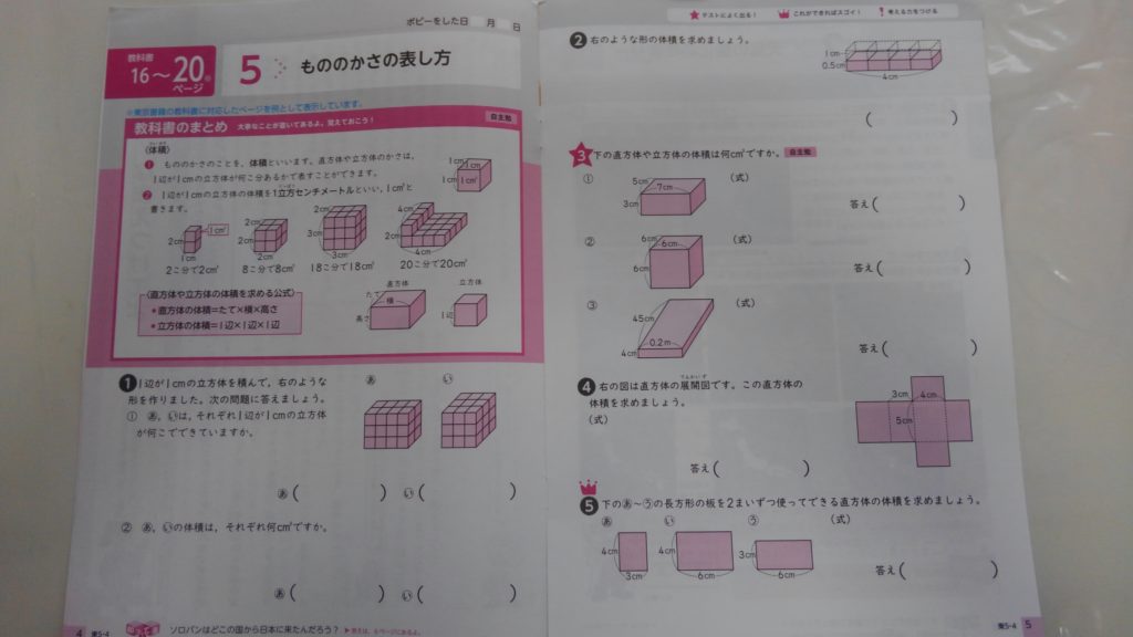 ポピー　小学5年生　お試し見本