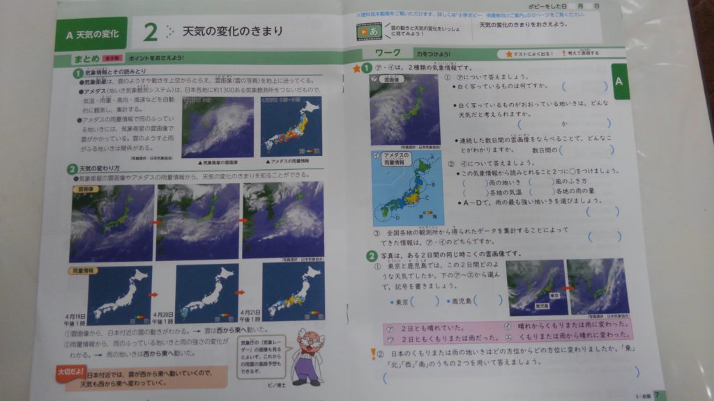 ポピー　小学5年生　お試し見本