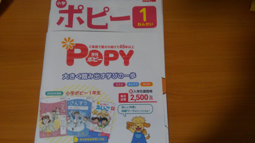 ポピー　小学一年生　値段