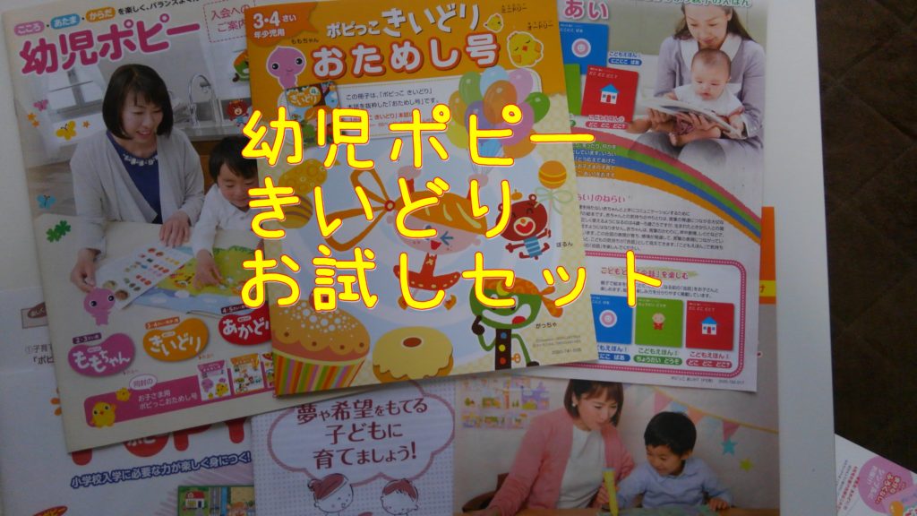 幼児ポピー　きいどり　お試し