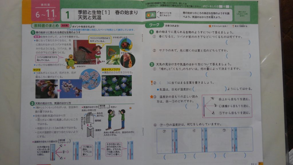 ポピー　小学4年生　お試し