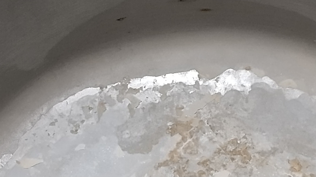 メガホーム メガキャット蒸留水器レビュー 口コミ
