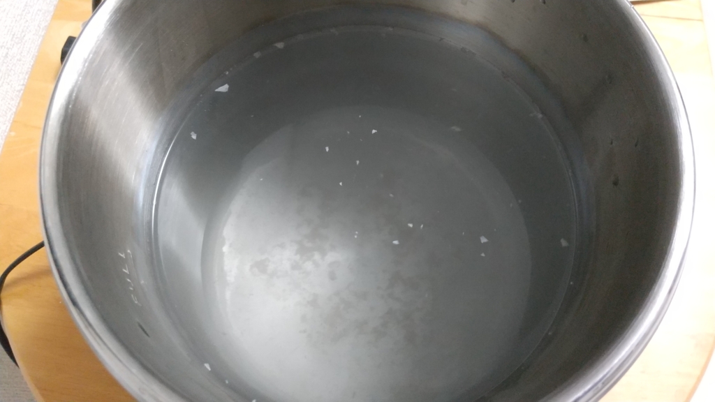 メガホーム メガキャット蒸留水器レビュー 口コミブログ